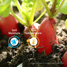 IoT Smart Smart Agriculture Sensor Solución de temperatura y humedad para la gestión de la nube